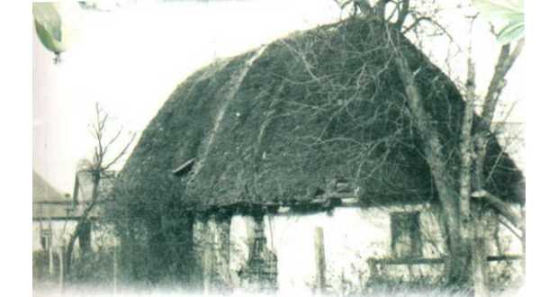 Kárpátalja anno: Szőlősegres