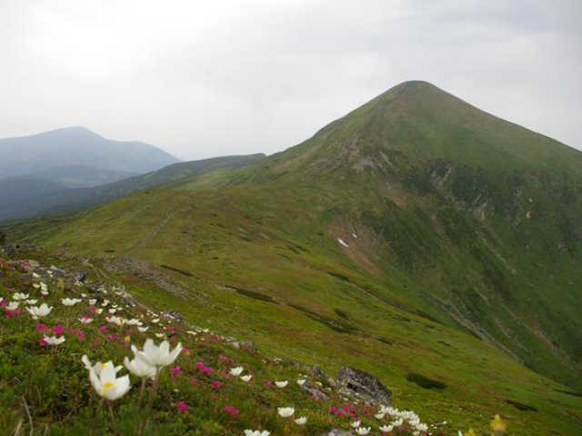 hoverla tavasszal