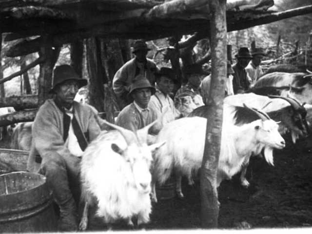 karpatalja anno rokamezo