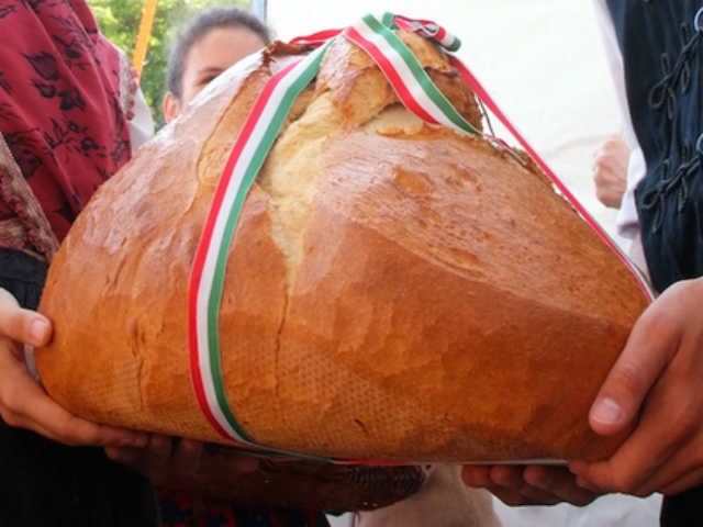 magyarok kenyere
