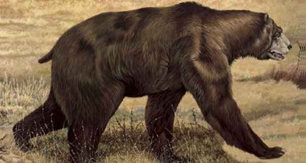 Tömeges kihalás – kérdőjelekkel