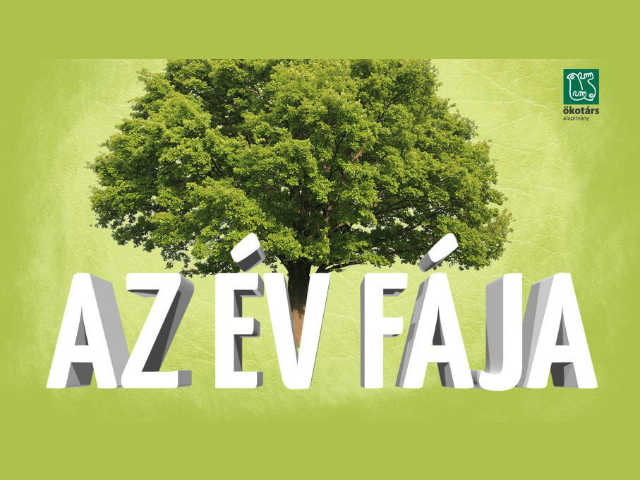 ev faja logo.001