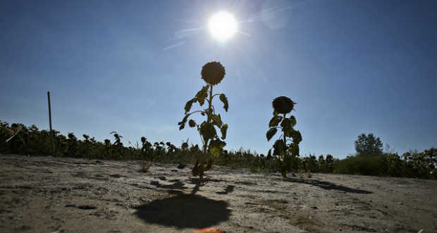 Hová vezethet a globális felmelegedés?