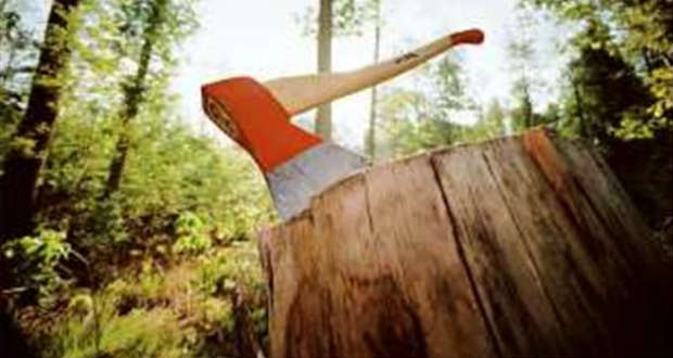 Egymillió focipályányi erdőt vágtak ki Brazíliában tavaly