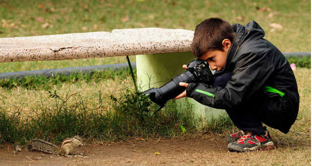 Fotópályázat a tavaszi és a nyári erdőről
