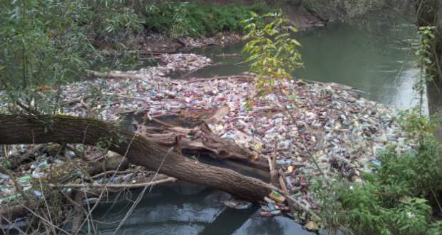 Rengeteg hulladék gyűlt össze a Latorcában