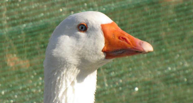 Заходи тижня