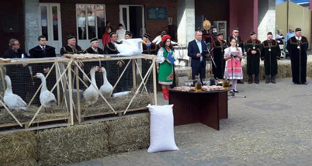 Szent Márton-napi újborünnep és libator Beregszászban