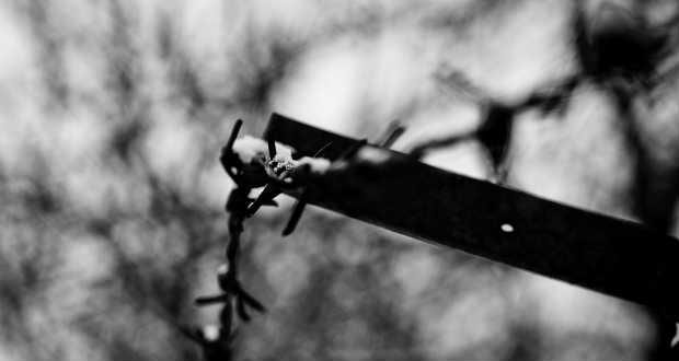 Petrov: emlékezzünk a roma holokausztra, hogy elkerüljük az újabb tragédiát