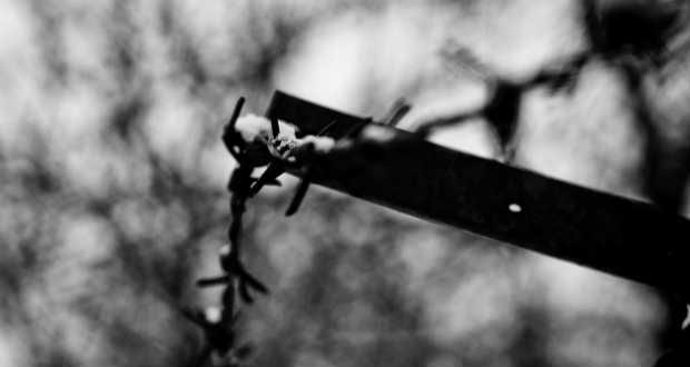 A KOMMUNIZMUS ÁLDOZATAI, REHABILITÁCIÓS ALTERNATÍVÁK KÖZÉP-KELET EURÓPÁBAN