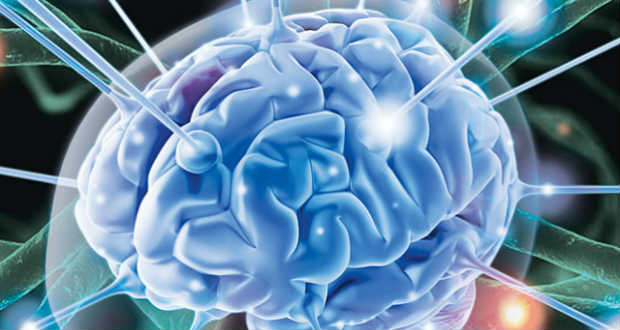 Magyar felfedezés az alvási orsókkal kapcsolatban