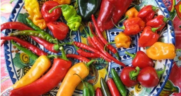 Tápanyagellátás: mennyit és miért annyit – a paprika példáján