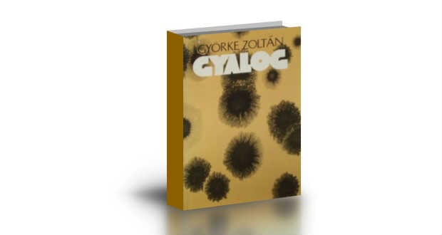 Könyvajánló: Gyalog