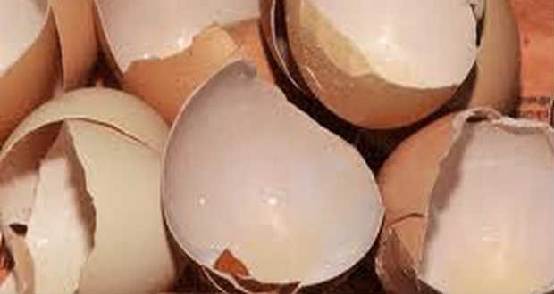 Mi mindenre jó a tojáshéj?