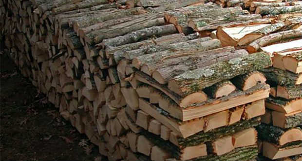 Megtiltották a feldolgozatlan faanyagok exportját