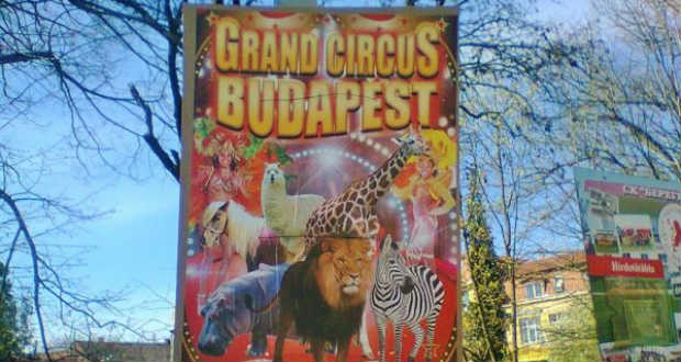 Budapesti cirkusz Beregszászban