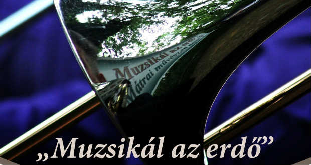 Muzsikál az erdő fotópályázat