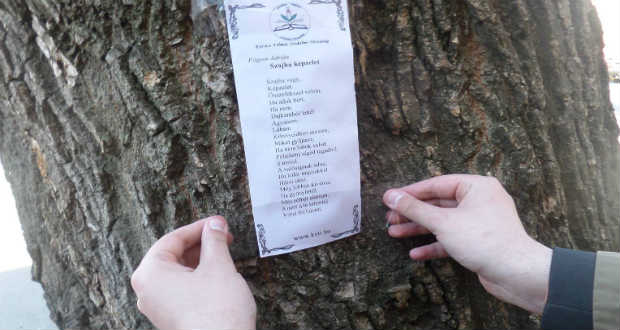 Posztolj verset az utcára! – Beregszászban is