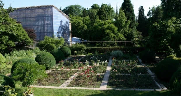 Kárpátalja ma: Ungvári botanikus kert