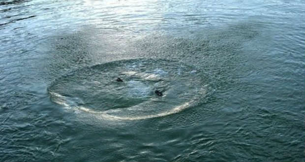 Huszonegy ember fulladt vízbe idén Kárpátalján