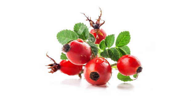 Őszi kedvencünk – A csipkebogyó