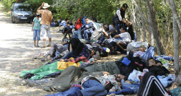 Több mint ezeregyszáz határsértőt tartóztattak fel Csongrád megyében