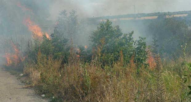 Tűz és felelőtlenség a borzsovai letérőnél