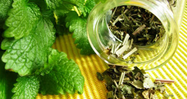 Emésztést segítő gyógynövények