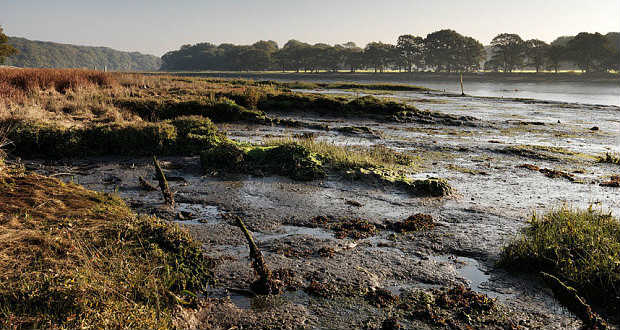 V. Henrik 600 éves hadihajóját találhatták meg