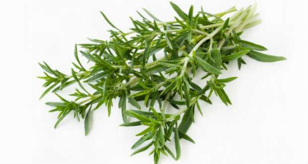 Kárpát-medencében őshonos fűszereket bemutató könyv jelent meg