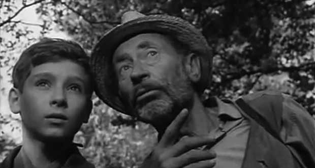 A fiatal Matula bácsi – irodalmi pályázat