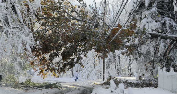 Havazás miatt több mint hatvanezer háztartás áram nélkül maradt Lengyelországban