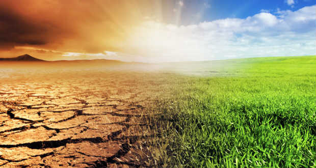 Négyszázmillió euró az ukrán mezőgazdaságnak