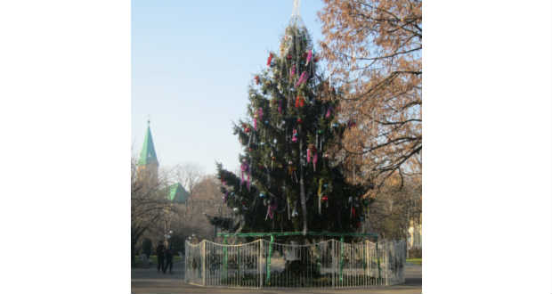 Kárpátalja ma: Nagyszőlős karácsonyfája