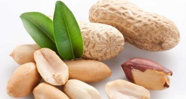 A mogyoró csodája!