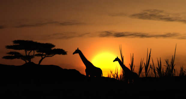 Évértékelő – A gyorsan növekvő népesség nyomása nehezedik Afrikára