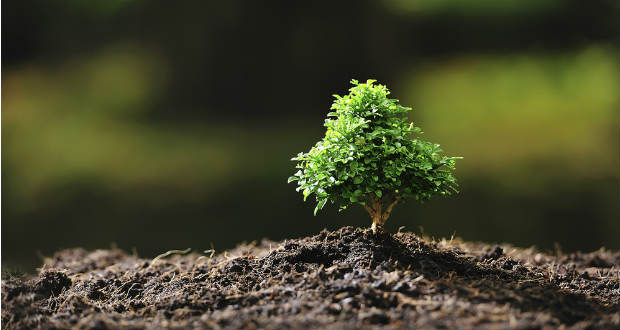 10 tipp – így faragjuk le a szén-dioxid kibocsátást!