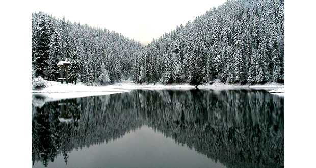 Kárpátalja ma: újévi köszöntő