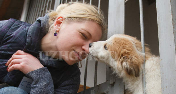 Nyílt napot tartottak az ungvári állatmenhelyen