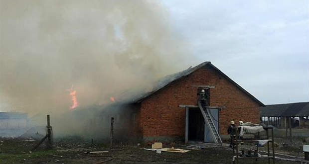 Kigyulladt egy istálló Nagybégányban
