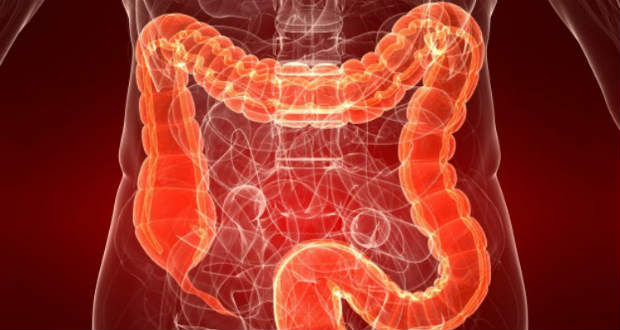 Az egészséges bélrendszer két titka