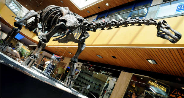 Daganat nyomait fedezték fel egy dinoszaurusz csigolyáján