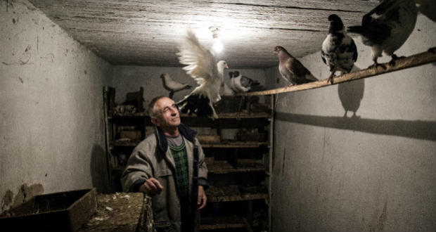 Valóságok párbeszéde: pincekalitka