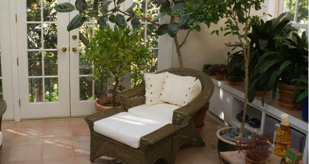 Ezek a szobanövények tisztítják legjobban a levegőt