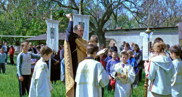 Lesz termés bőven?