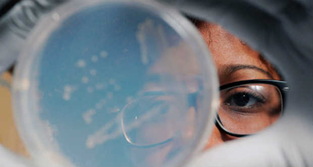 Új, rendkívül ellenálló gonorrheakórokozókat fedeztek fel