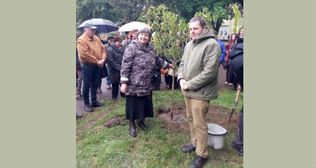Тиждень матерів на Закарпатті