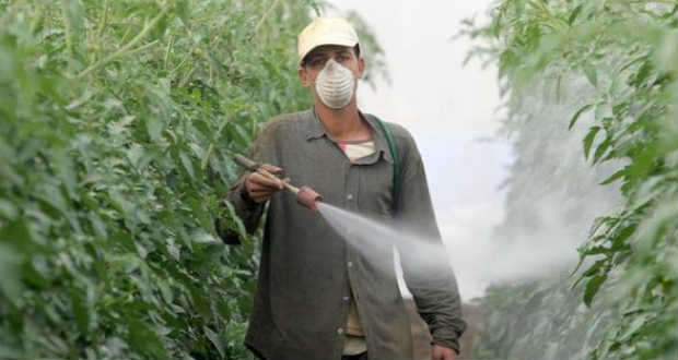 A betegségek elleni védekezés okai és gyakorlata hajtatásban II.