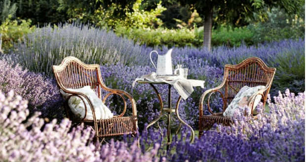 Provence-i hangulat kertünkben, levendulával!