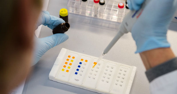 Áttörő magyar siker a rákkutatásban – Megvan a gyógymód?